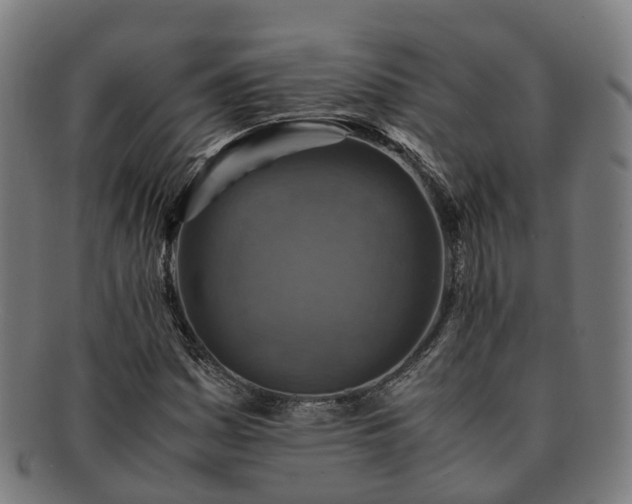 X0000091711161200708311109