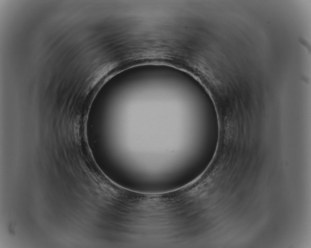 X0000091711162200708311109