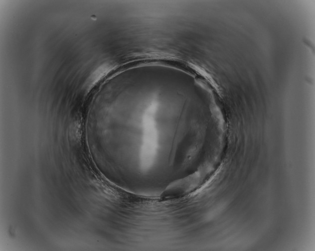 X0000091711163200708311109