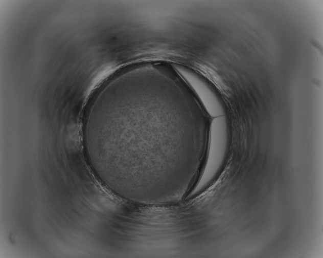 X0000091711164200708311109