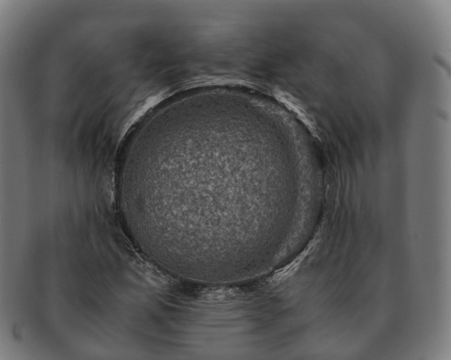 X0000091711165200708311109