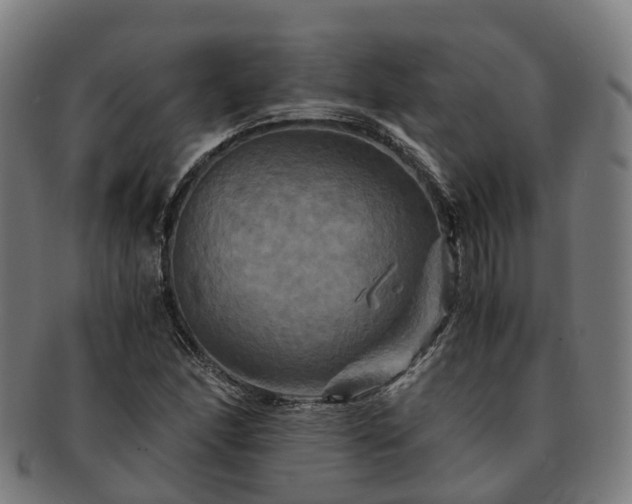 X0000091711166200708311109