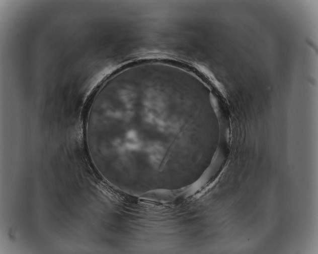 X0000091711167200708311109