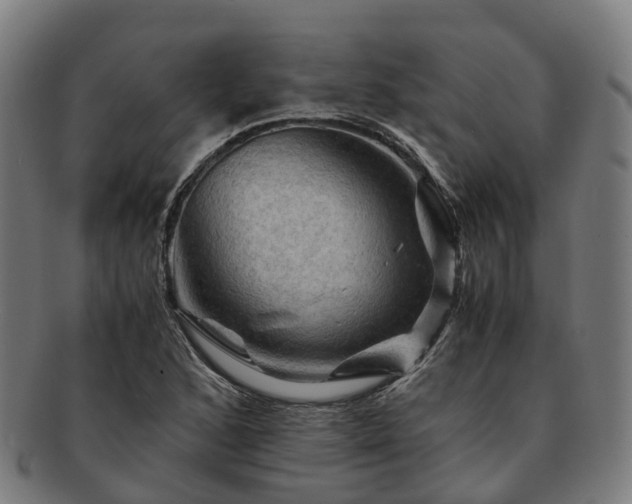 X0000091711168200708311109