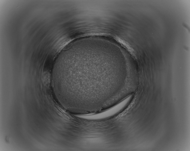 X0000091711169200708311109