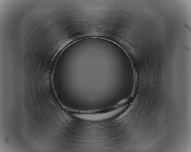 X0000091711170200708311109