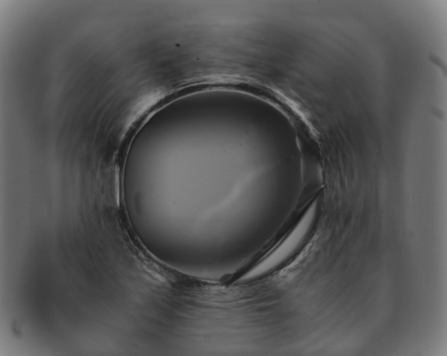 X0000091711171200708311109