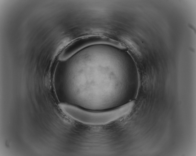 X0000091711172200708311109