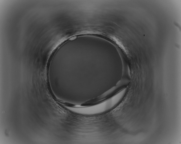 X0000091711173200708311109