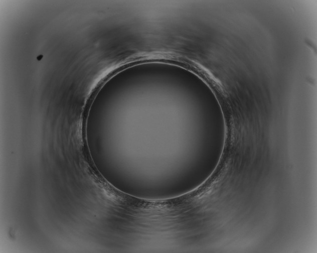 X0000091711174200708311109