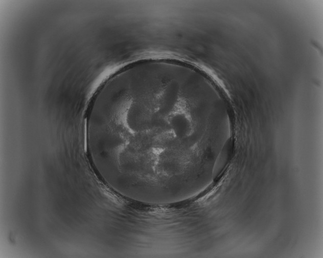 X0000091711175200708311109