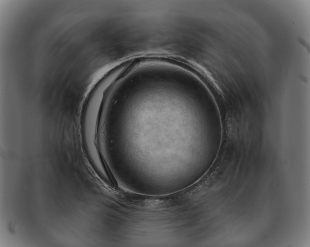 X0000091711176200708311109