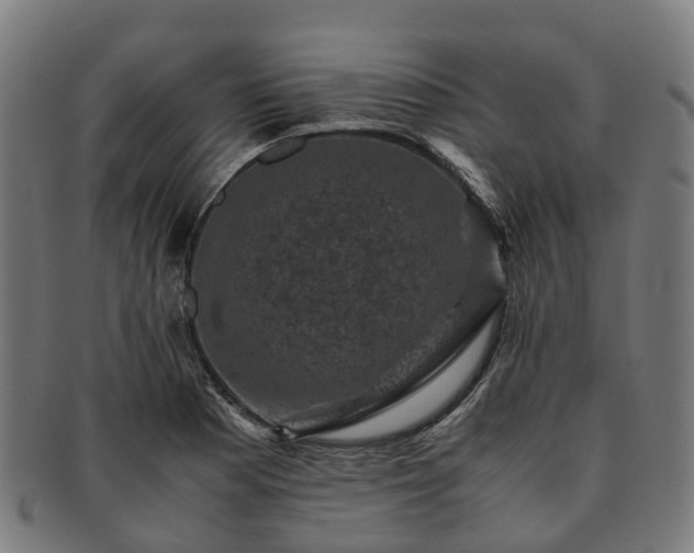 X0000091711177200708311109