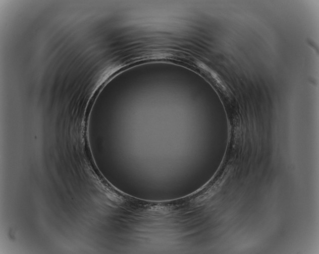 X0000091711178200708311109