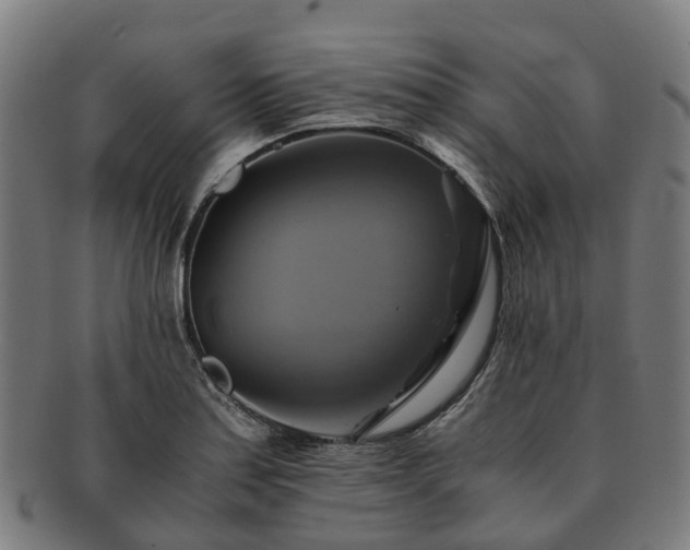 X0000091711179200708311109