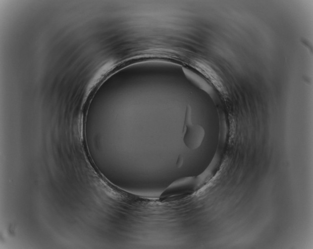 X0000091711180200708311109