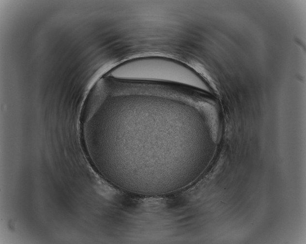 X0000091711181200708311109