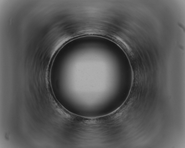 X0000091711182200708311109