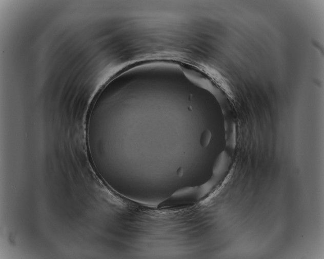 X0000091711184200708311109