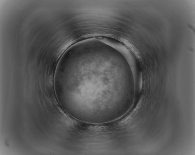 X0000091711185200708311109