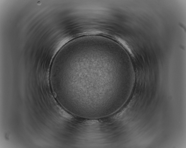 X0000091711186200708311109