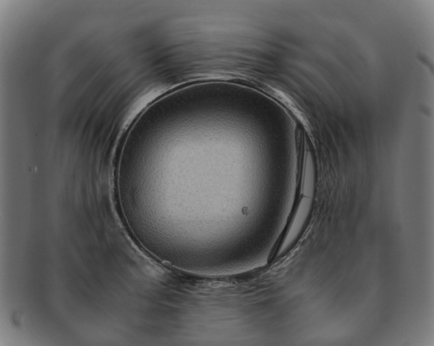 X0000091711187200708311109