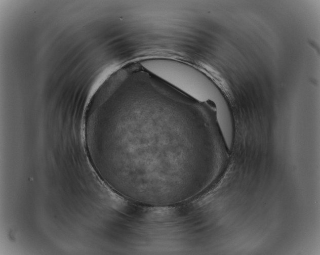 X0000091711188200708311109