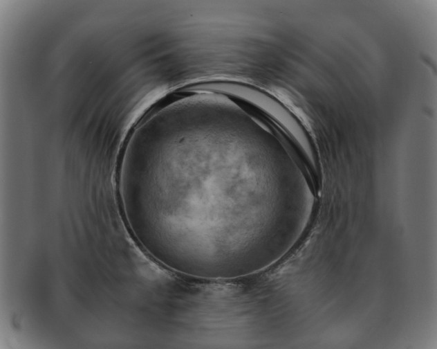 X0000091711189200708311109