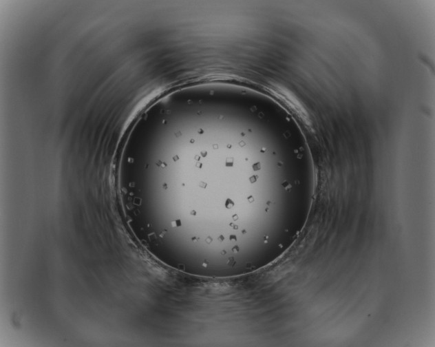 X0000091711190200708311109