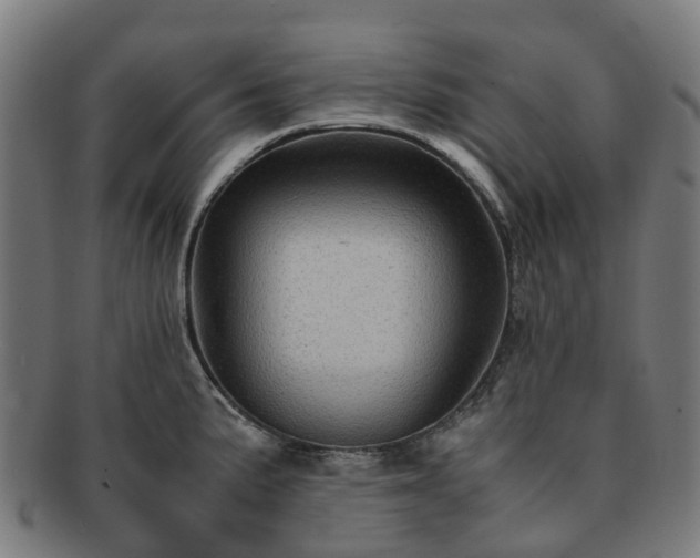 X0000091711191200708311109