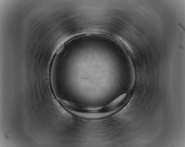 X0000091711192200708311109