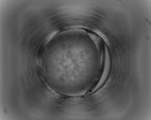 X0000091711193200708311109