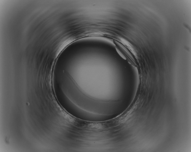 X0000091711194200708311109