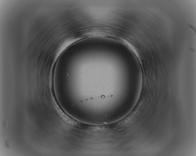 X0000091711195200708311109