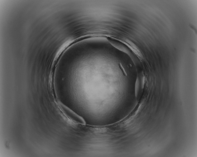 X0000091711196200708311109