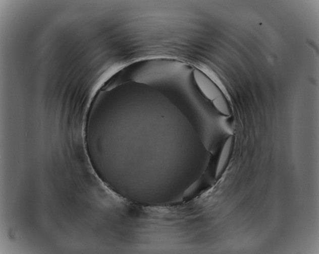 X0000091711197200708311109