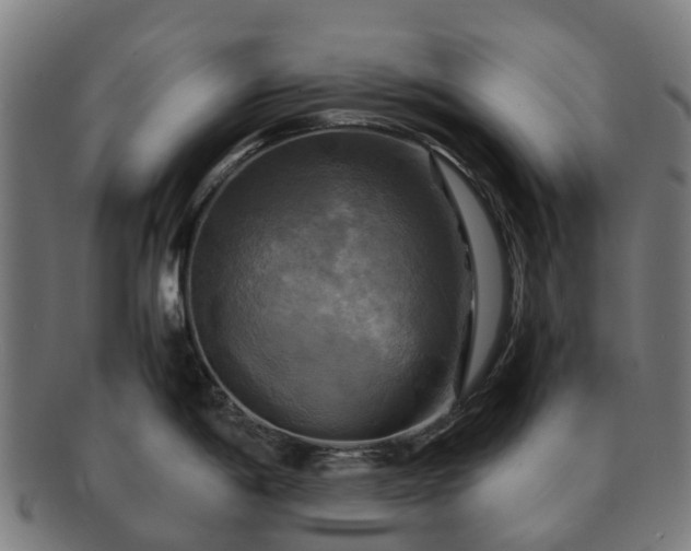 X0000091711198200708311109