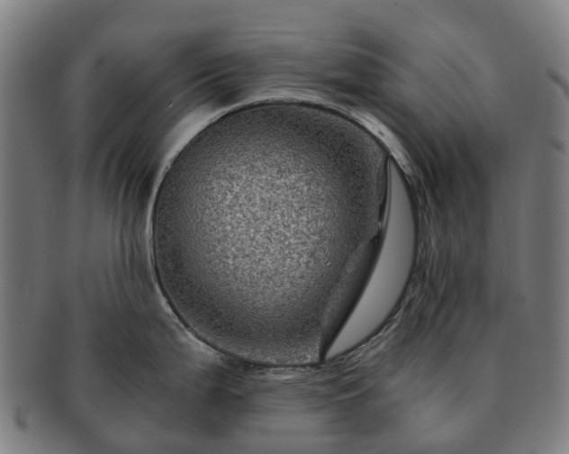 X0000091711199200708311109