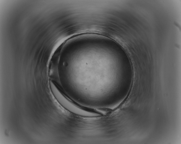 X0000091711200200708311109