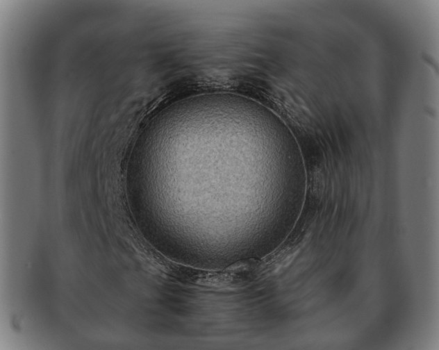 X0000091711201200708311108