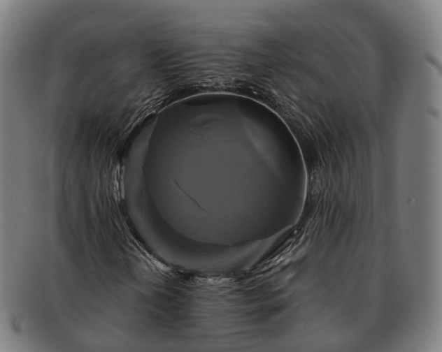 X0000091711202200708311108