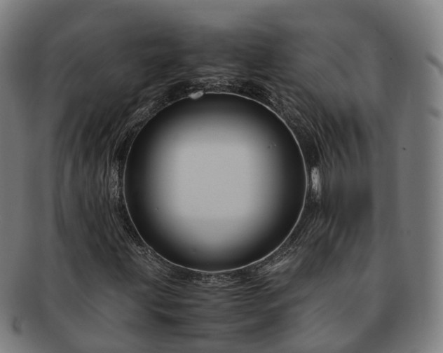 X0000091711203200708311108