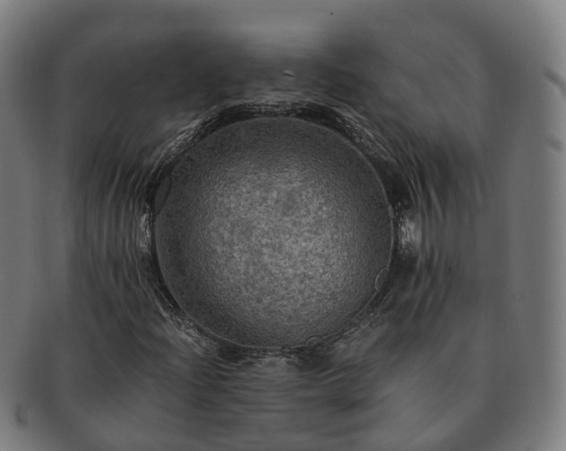 X0000091711204200708311108