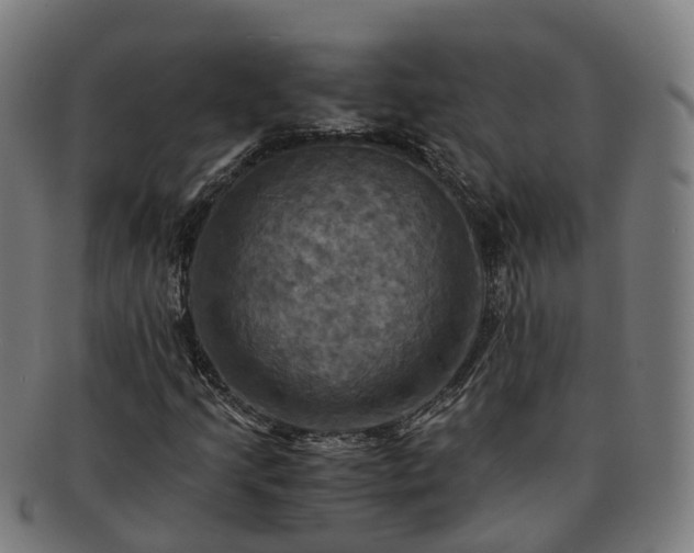 X0000091711205200708311108