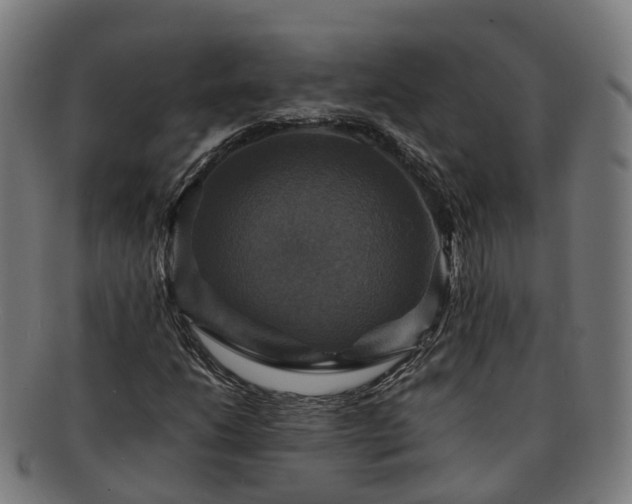 X0000091711206200708311108