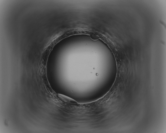 X0000091711207200708311108