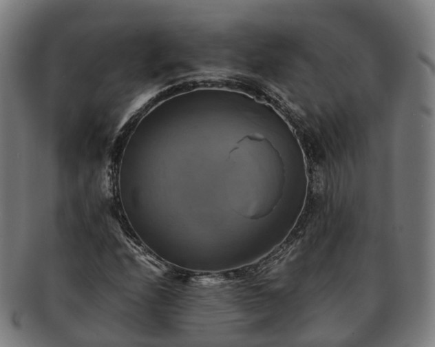 X0000091711208200708311108