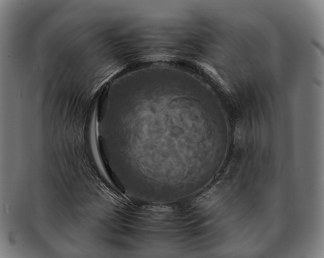 X0000091711209200708311108