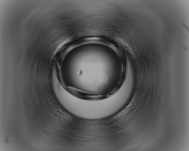 X0000091711210200708311108