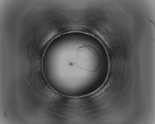 X0000091711211200708311108